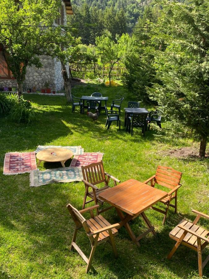 Guesthouse Demushi Valbone Extérieur photo