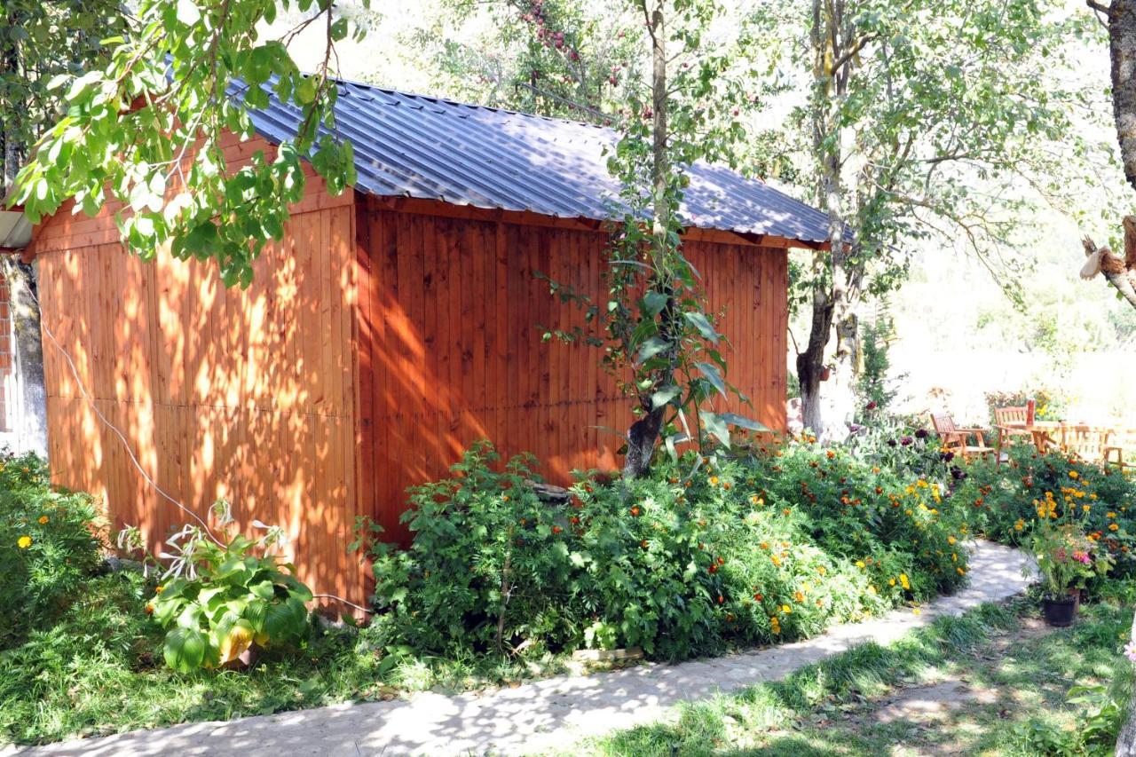 Guesthouse Demushi Valbone Extérieur photo